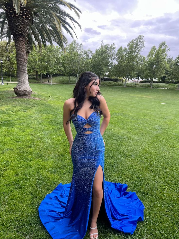 Royal Blue Mermaid Elegant Prom Dress Long Evening Party Gowns    cg25818