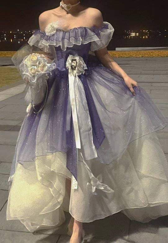 A Line Off Shoulder Prom Dresses, Long Evening Dress Formal Dress    cg25967