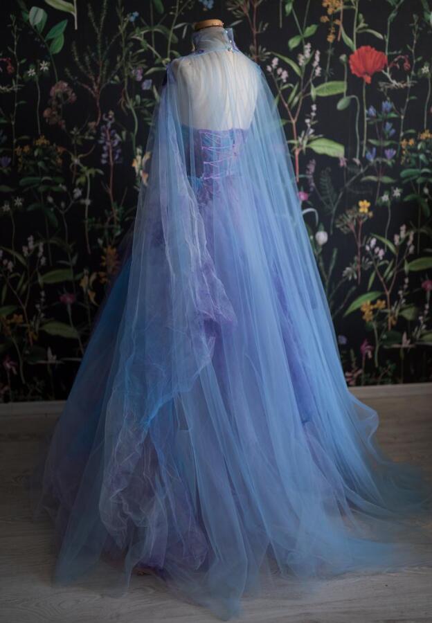 A Line Fashion Prom Dresses, long Evening Dresses cg24997