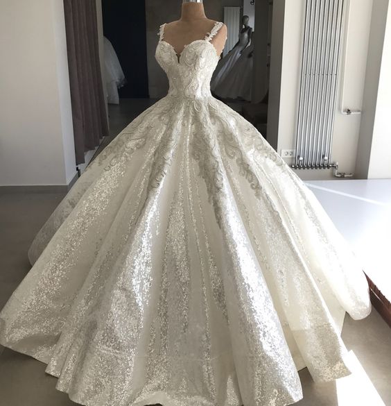 ball gown Evening Dress Prom Dress cg18517