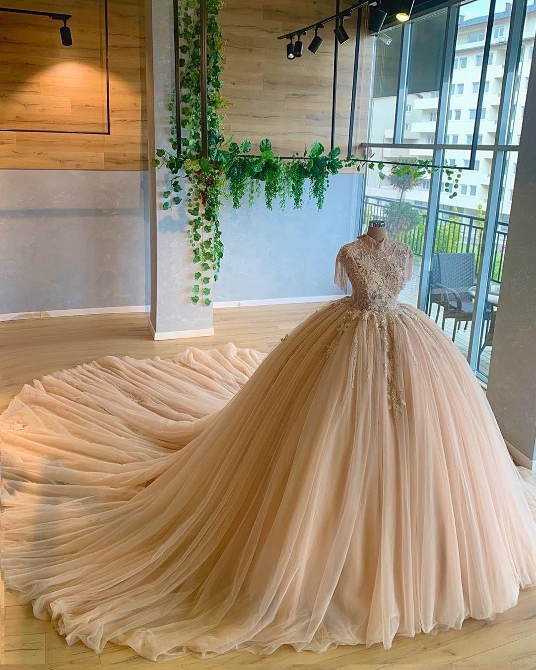 Tulle Long Prom Dresses,A Line Elegant Dresses,ball gown Prom Dresses cg19888