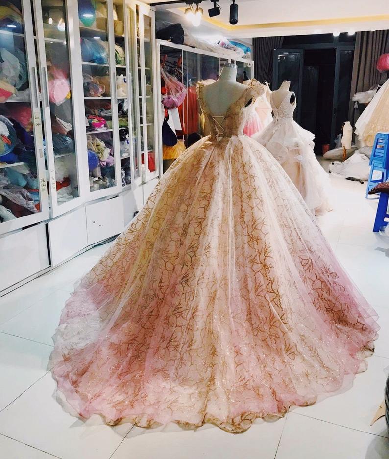 Long pink ball gown long evening drress Prom Dresses cg20323