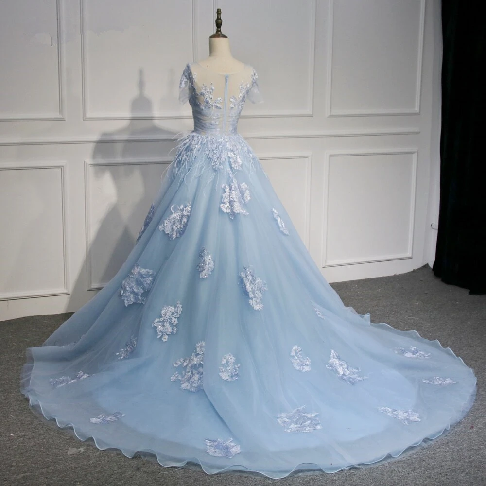 Blue Short Sleeves Lace Applique Organza Tulle Party Dress Prom Dress cg21266