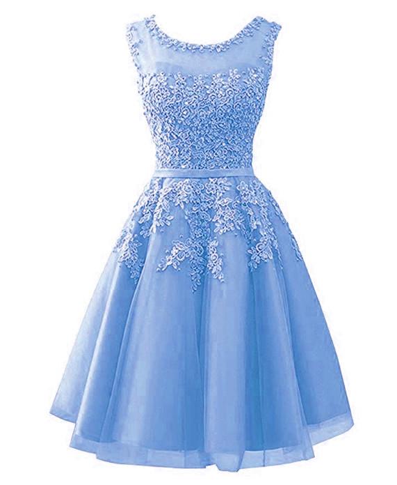 Blue Tulle Round Neckline Beaded Short Homecoming Dress cg23332