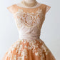 A Line Lace Champagne Vintage Homecoming Dresses Short Prom Dress Short Party Dress    cg25922