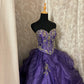 A Line Long Ball Gown Quinceanera Dress Purple Long Evening Dress    cg25550