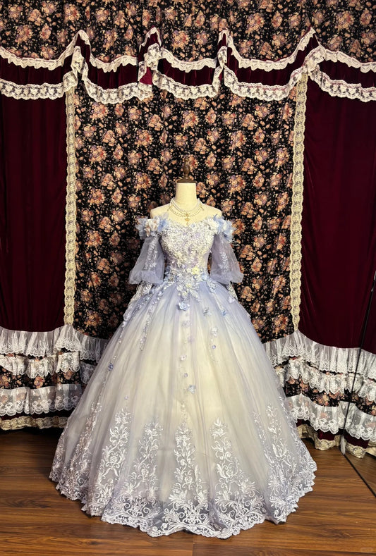 A Line Long Sleeves Ball Gown Quinceanera Dress Unique Long Evening Dress    cg25537