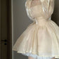 A Line Champagne Homecoming Dresses Short Prom Dress Short Party Dress Cocktail Dresses     cg25916