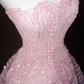 Pink 19th Birthday Outfit A Line Prom Party Dress Evening Dress cg26343