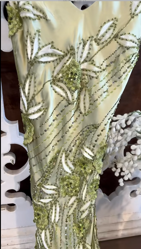 Vintage Green Beading Prom Party Dress Evening Dress Birthday Outfit  cg26362