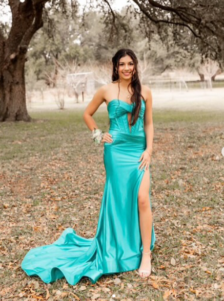 Mermaid Long Evening Dress Long Prom Party Dress    cg25636