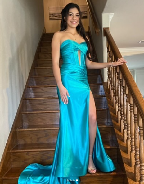 Mermaid Long Evening Dress Long Prom Party Dress    cg25636