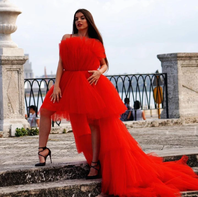 Prom Dress, Tulle Dresses,Formal Prom Dress    cg17292