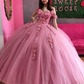 Quinceanera Dresses 3D Applique Puffy Skirt Lace-Up Back Sweet 16 Party Dress Long Prom Gowns   cg18880