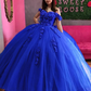 Quinceanera Dresses 3D Applique Puffy Skirt Lace-Up Back Sweet 16 Party Dress Long Prom Gowns   cg18880