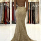 Mermaid lace long prom dress evening dress formal dress    cg19056