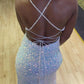 mermaid sequined long formal dress evening dress with lace up back prom dress    cg20303