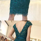 Fashion Appliques Sheath homecoming Dress, Beading Short Evening Dress for Party, Formal Gown cg2160