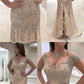 2019 Sheath Prom Dresses,Round Neck Prom Dresses,Light Champagne Prom Dresses,Chiffon Prom Dresses cg3932