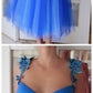 Sexy Applique Spaghetti Straps Tulle Blue Dress Charming Homecoming Dress cg4583