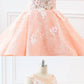 2020 Chic A-line Scoop Long Prom Dresses Lace Prom Dress Ball Gowns Evening Dresses cg4626