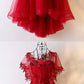 Unique Burgundy High Low Tulle Cheap Prom Dress With Appliques cg464