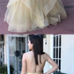 Champagne v neck tulle long prom dress, champagne tulle formal dress cg5021